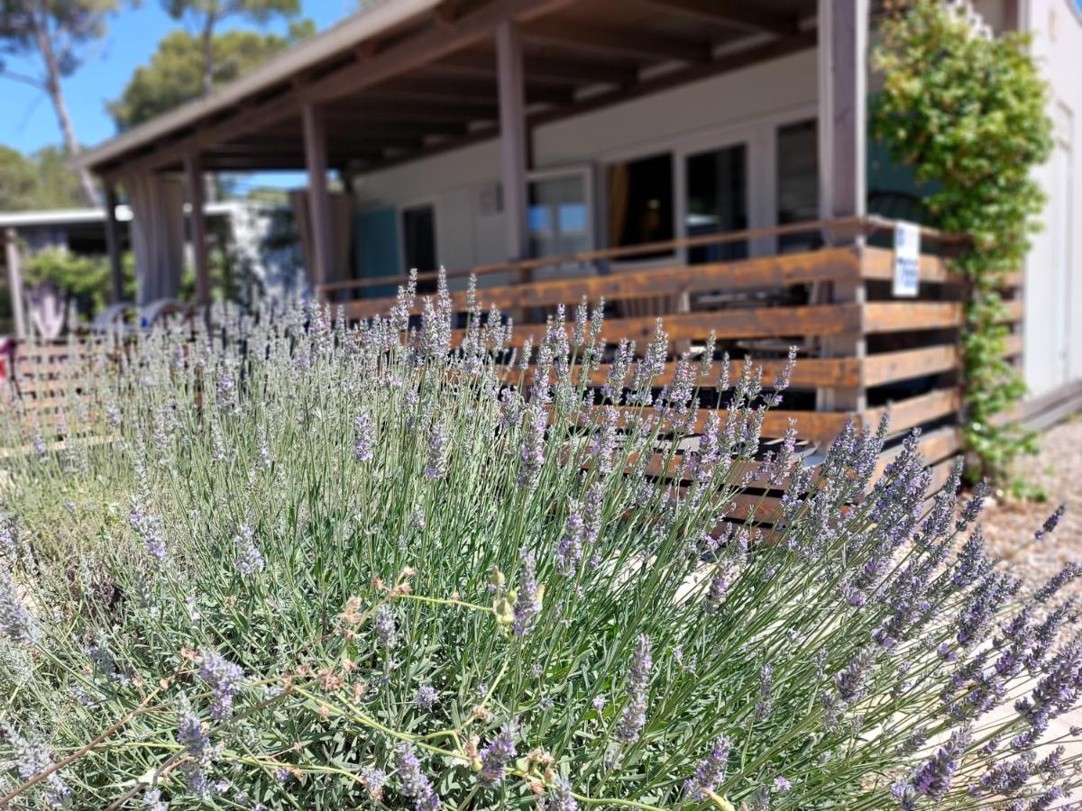Holiday Homes Lavanda - Biograd Na Moru Exterior photo